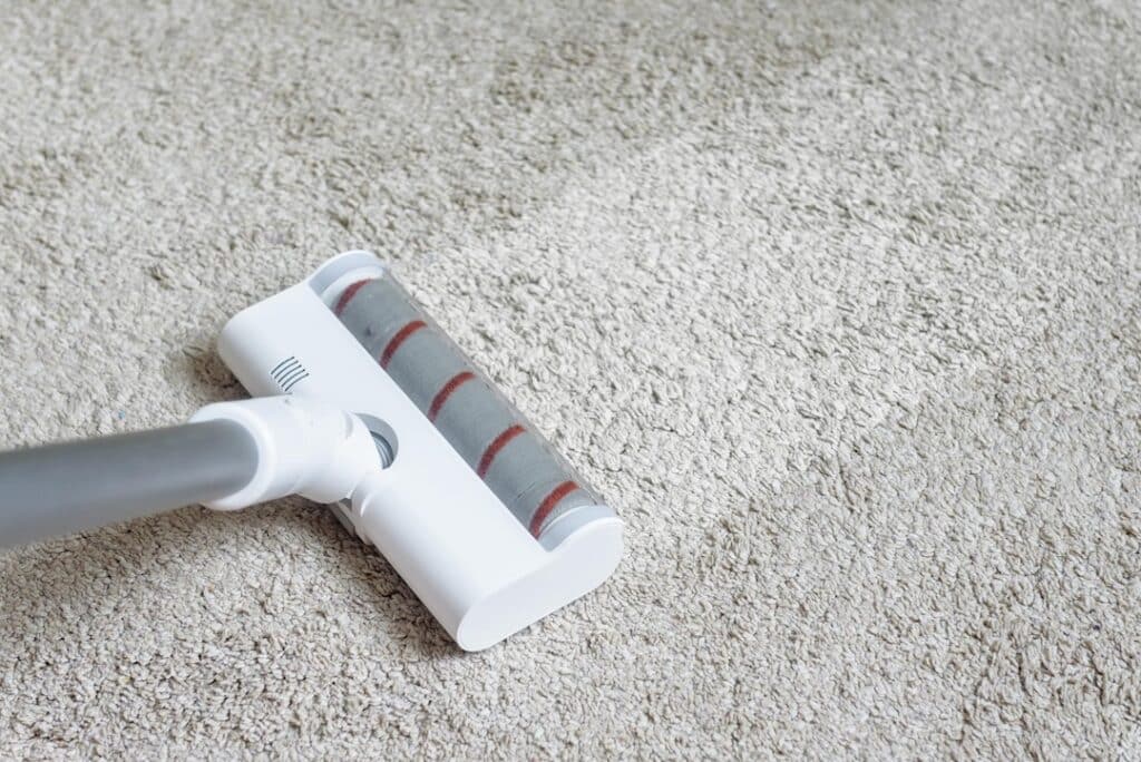 Vacuum Cleaner Carpet