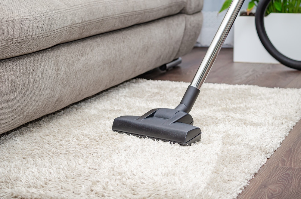 Vacuums Gray Carpet